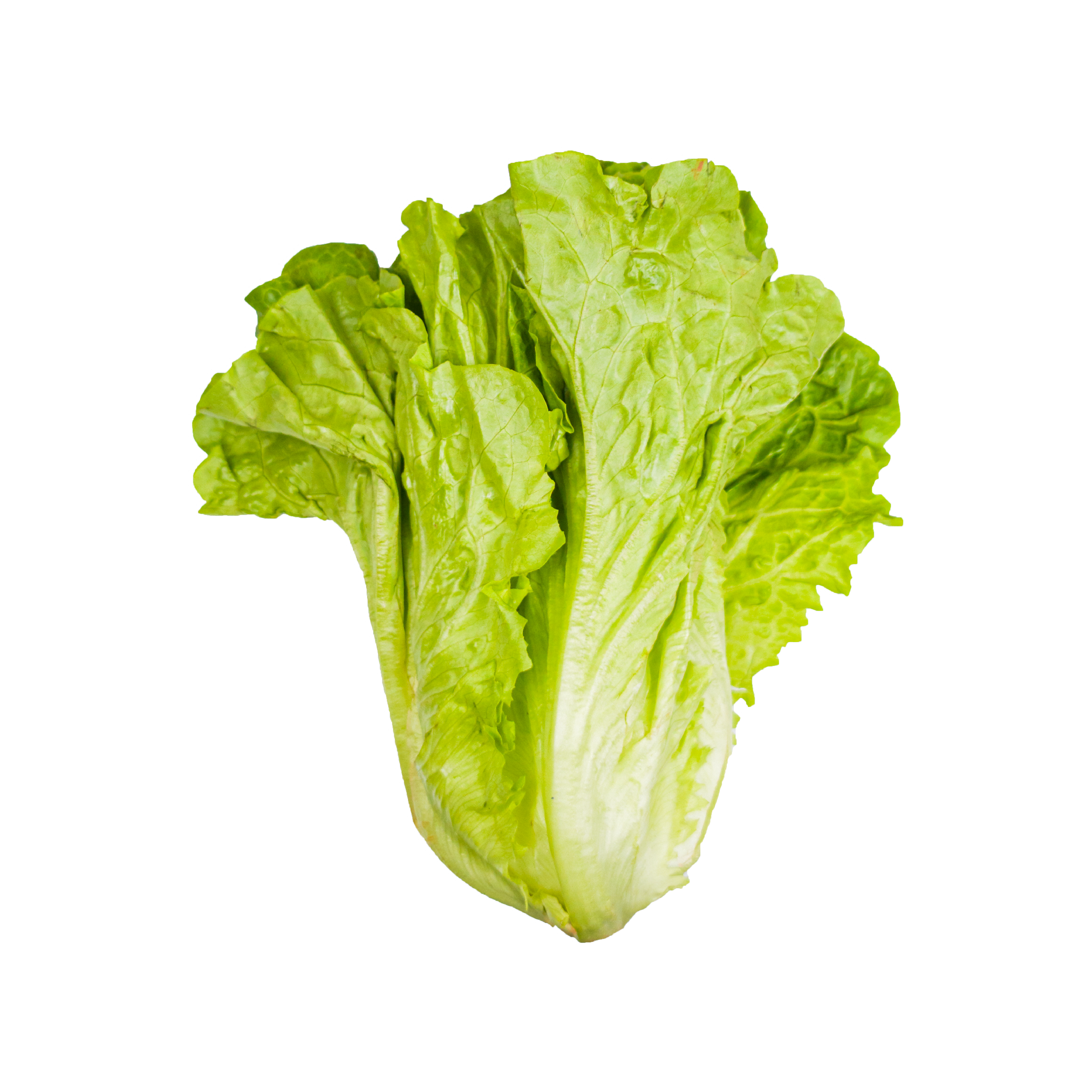 De la salade